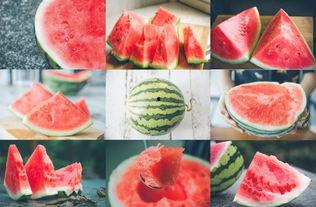 吃瓜网玩具测评,吃瓜网带你探索童趣世界