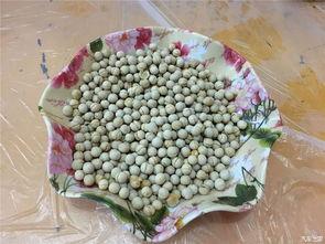 吃瓜51网,热门话题背后的真相与趣味