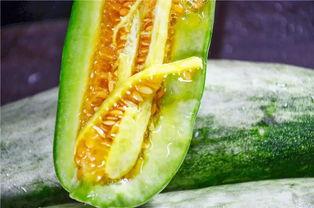 网红瓜都是在哪吃的,揭秘瓜果美食的聚集地