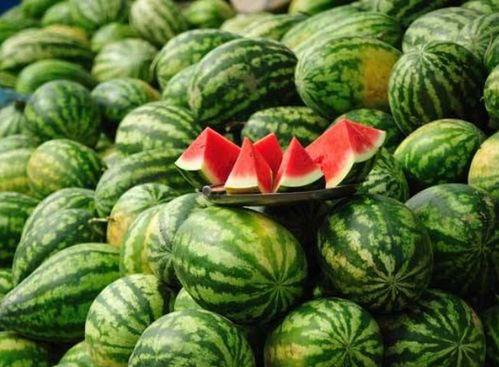 网红吃瓜事件详情