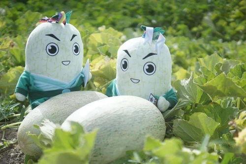 2022网红吃瓜事件,揭秘网络热点背后的真相