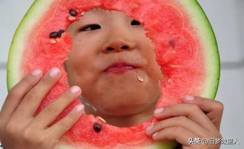 唐山花店老板吃瓜网,吃瓜网背后的故事与启示